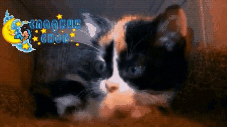 Сладких сновКуки