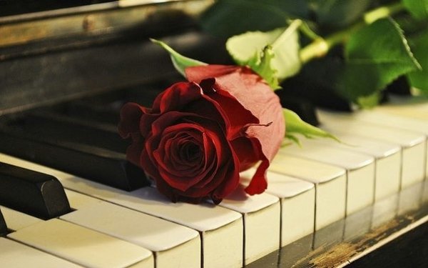 image (18)