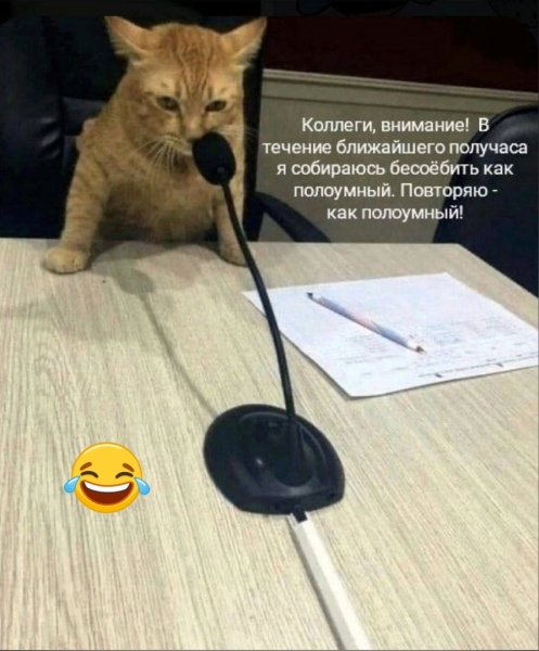 )))