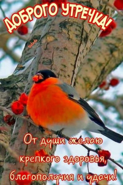 Доброго утречка