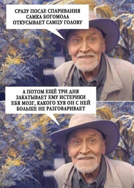 file_99706302