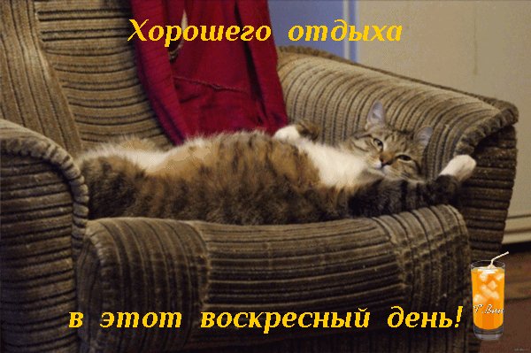 Анимированная открытка хорошего отдыха