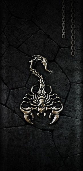 c2d8fb2dfd425706277f4f2365a79ec0