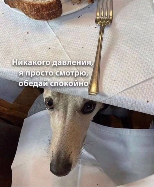 IMG 20260804 163659 839