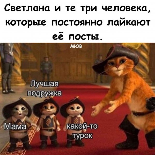 FB IMG 1779104108221