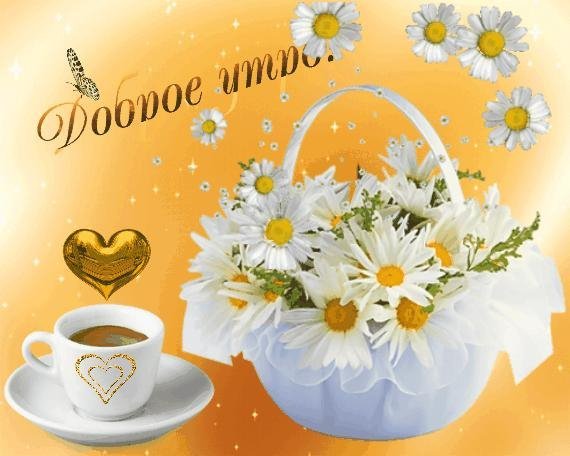 IMG 20190518 775995
