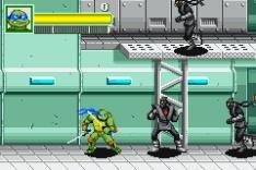TMNT