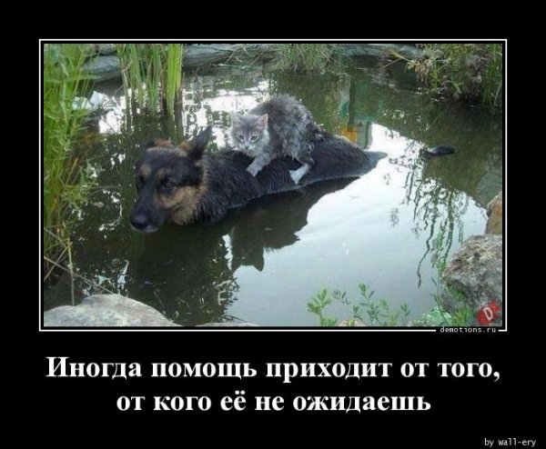 Inogda-pomosch-priho demotions.ru