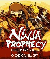 Ninja Prophecy