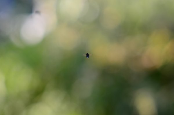 file_70253146