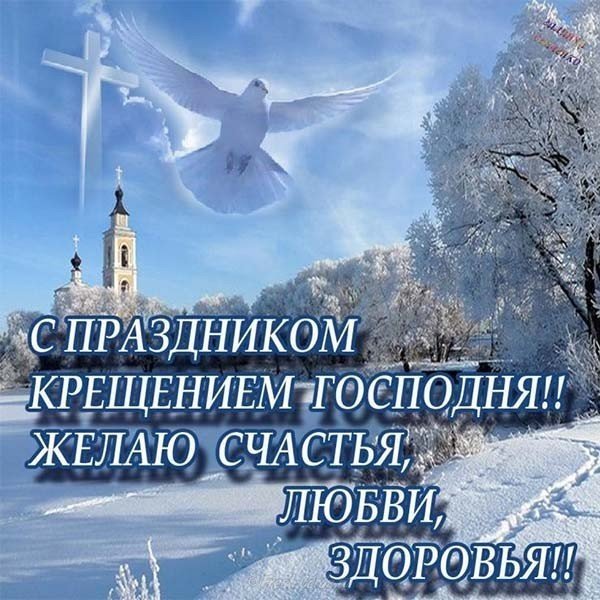file_81304976