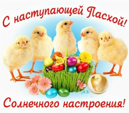 file_29763543