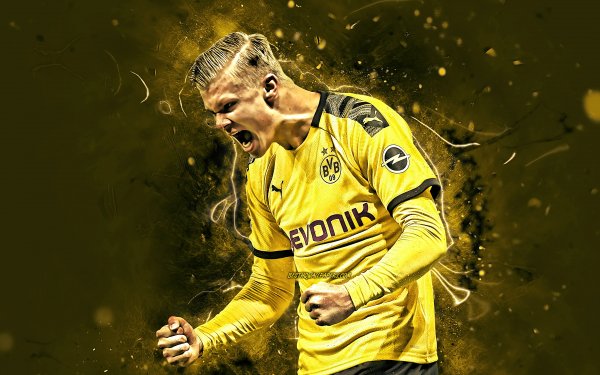 erling-haaland-goal-borussia-dortmund-fc-norwegian-football