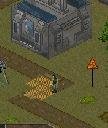 file_31628028
