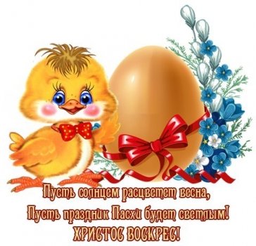 jvdcn5tdgcy