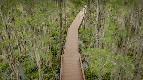 OkefenokeeSwamp ROW0147262744 UHD