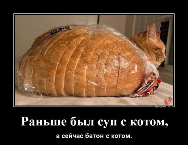 А раньше был суп с котом...