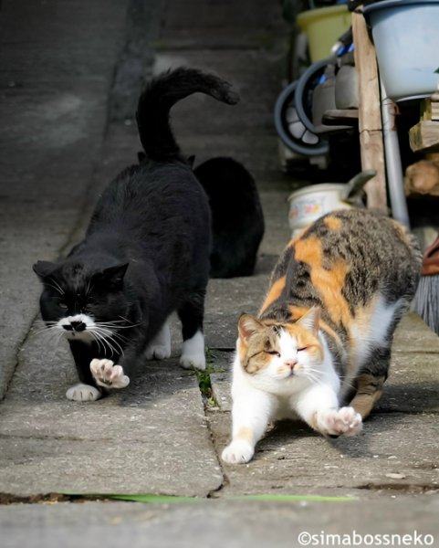 6.UXpt3842nrihUvx-NikJI4hL1k-FKqsF2-Zn0NCQ0G9kmscnl1ggcGKZtJ