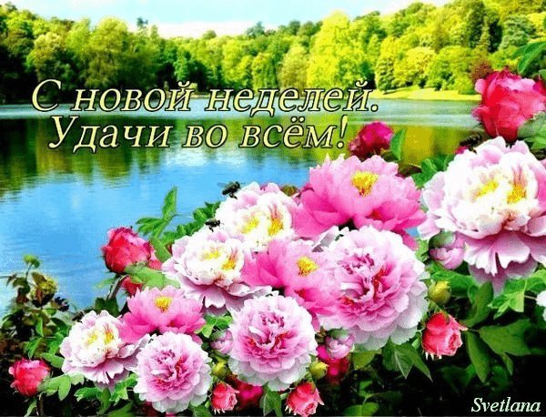 file_62298759