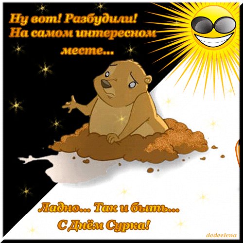 С Днём Сурка.!