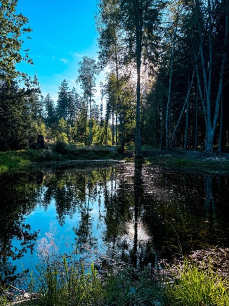file_99437367