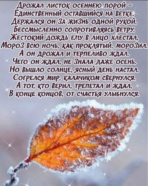 file_95105375