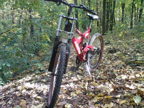 КОГДА ТО ЕЗДИЛ НА АРДИСЕ