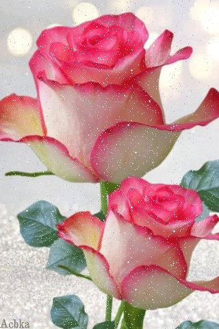 file_93271924
