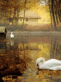 file_9286774