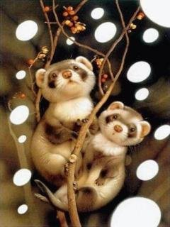 file_72262991