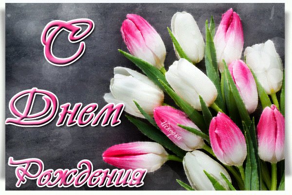 С днем рождения