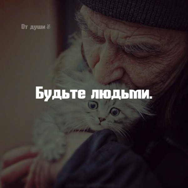 IMG 20170322 224455 55
