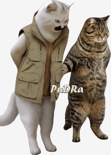 E5ddb92703aef8018e6a125e4e1cc5fc