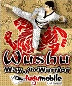 wushu way of the warrior