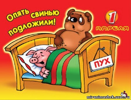 Опять свинью подложили!