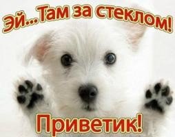 file_52013445