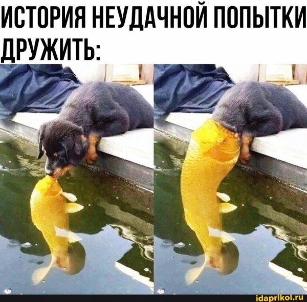 d0b540807381ab30e559f02262e6e9d77d3dbccb1 1