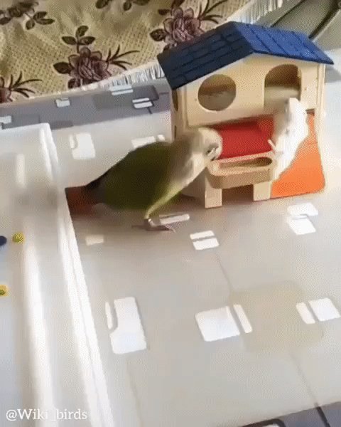 Вы арестованы