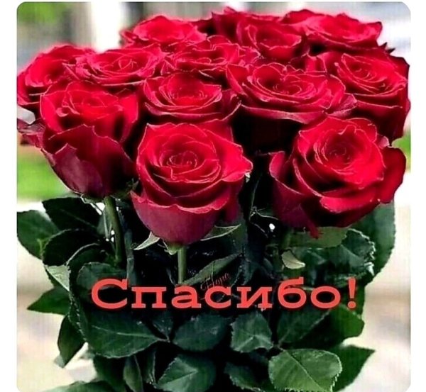 file_99177961