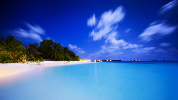 file_79981540