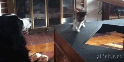 Я Суров И Опасен! Ой..