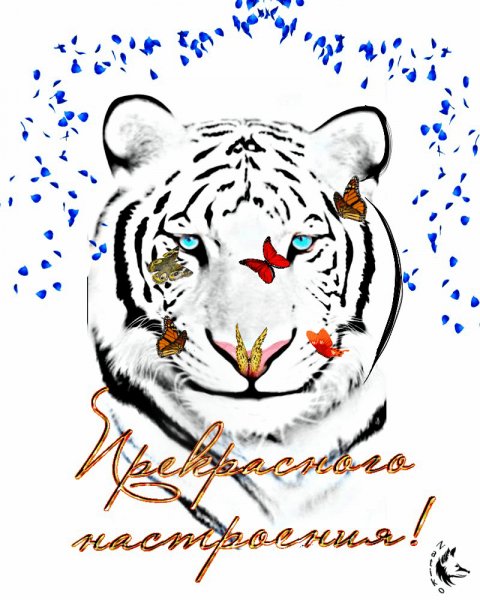 настроение