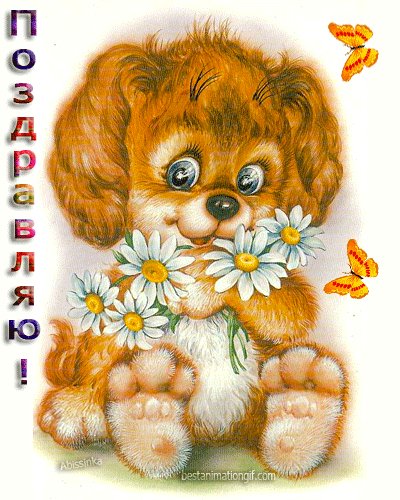 file_46384082