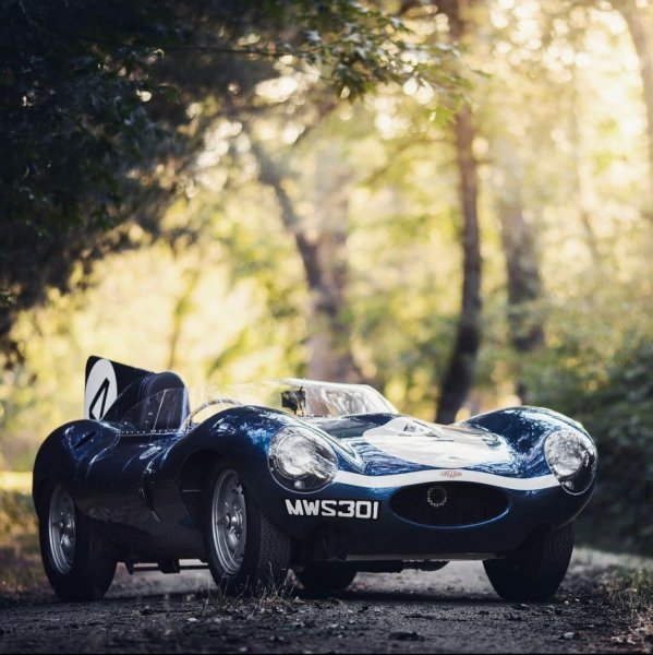 Jaguar