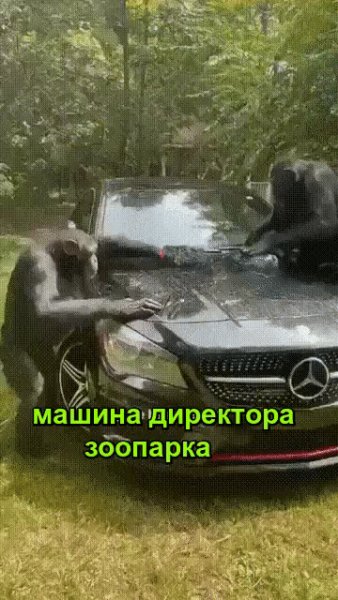 IMG 20220819 171204