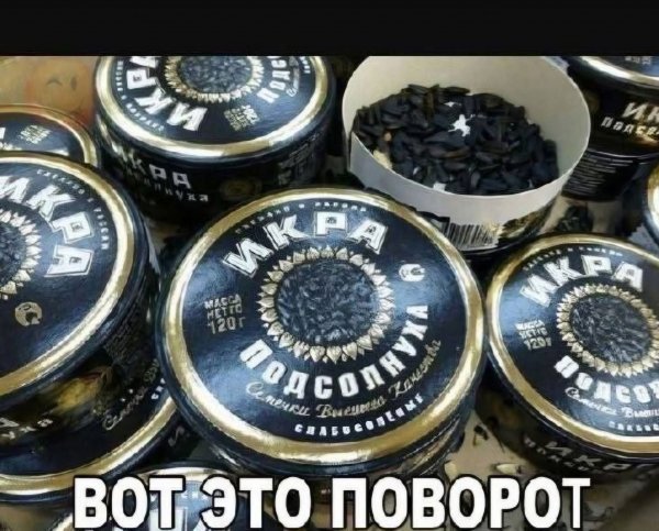 FB IMG 1779123554022