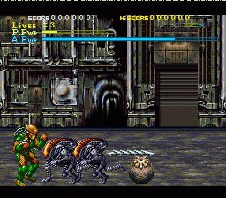 Alien vs Predator