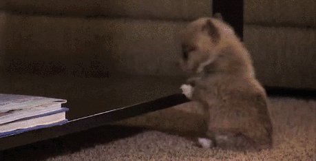 gifs 13