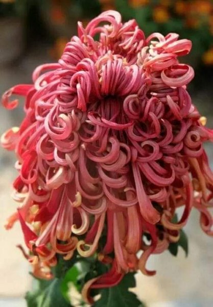 FB IMG 1715016653095