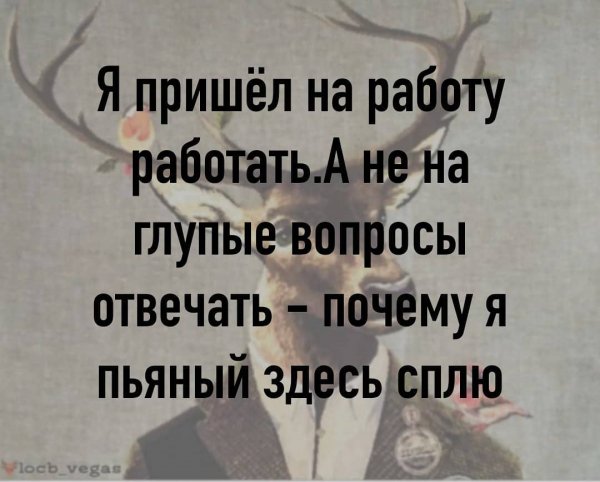 file_80055958